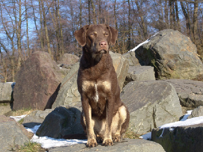 Foto Pfüller, Dezember 2006