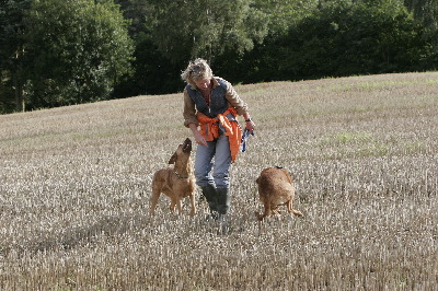 Tessa, Linda und Fritz